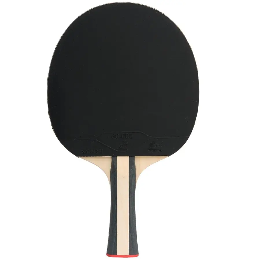 Bordtennisracket Sport-Thieme Advanced+ ITTF godkjent | Skole, klubber og fritid 