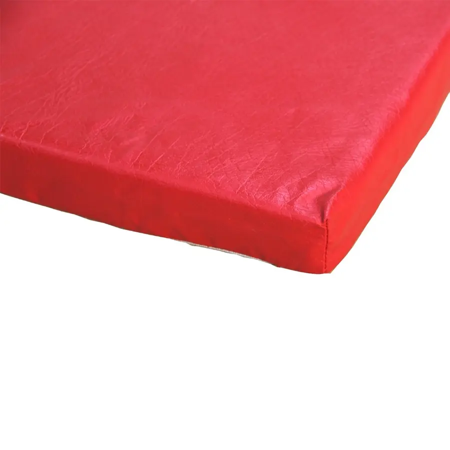 Gymnova Skolematte 200 x 100 x 4 cm | Turnmatte 